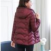 Damenjacke für Herbst und Winter, einfarbig, mit Kapuze, schmale Passform, dick, warm, kurz