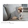 Pet Dog Clothes Cute Rabbit Ear Design For Small Dogs Coat Winter Dog Hoodies Puppy Cat Clothing For Dogs Pug French Bulldog