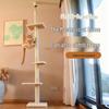 Dienmern Floor-to-Ceiling Cat Tree