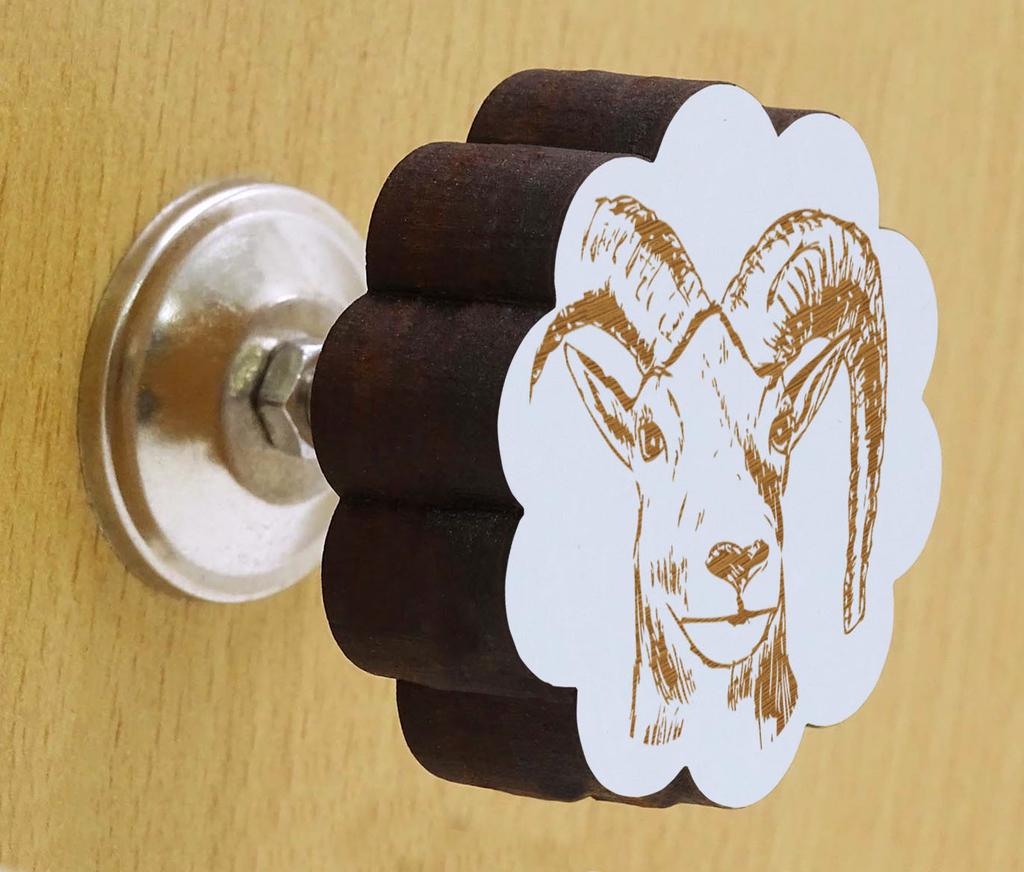 IBA Indianbeautifulart Brown Engraved Knobs Furniture Knobs Cabinet Drawer Pull Pack
