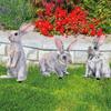 1/3pcs Easter Rabbit Yard Signs Spring Yard Stake Decorative Garden Stakes for Indoor Outdoor Courtyard Lawn Decoration