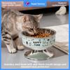 Cuenco elevado de acero inoxidable para gatos, comedero antideslizante para mascotas, protección cervical