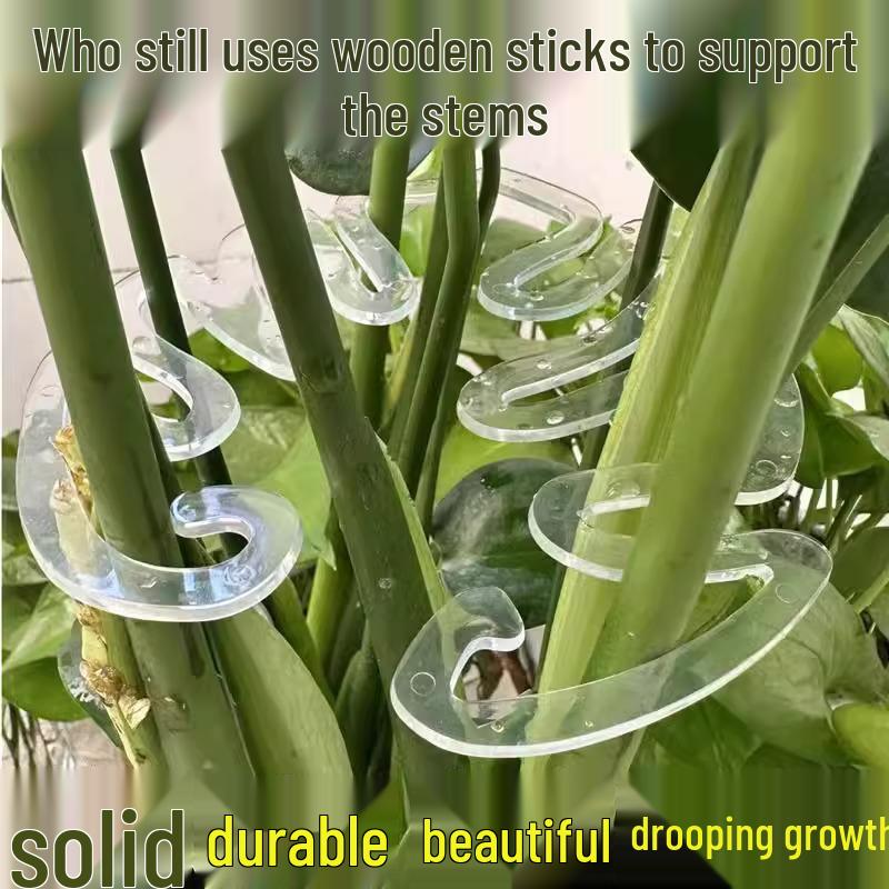 Transparent Flower Stem Support and Gatherer for Potted Plants and Monstera