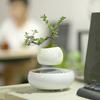 Levitating Air Bonsai Pot Rotation Flower Pot Planters Magnetic Levitation Suspension Floating Pot Potted Plant Home Desk Decor