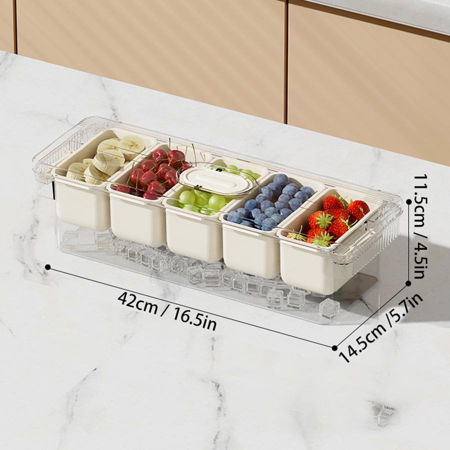 Ice Chilled Condiment Caddy with 5 Containers, Fruit Plate Server with  Lids, Serving Tray Platter with Removable Dishes