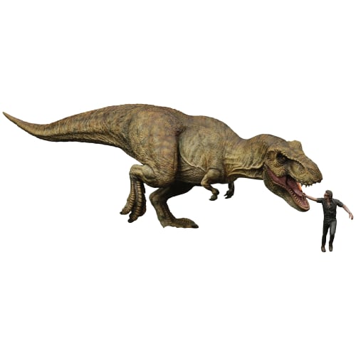 X-Plus Jurassic Park Tyrannosaurus Rex 1/35 Scale Unpainted Plastic Model Kit