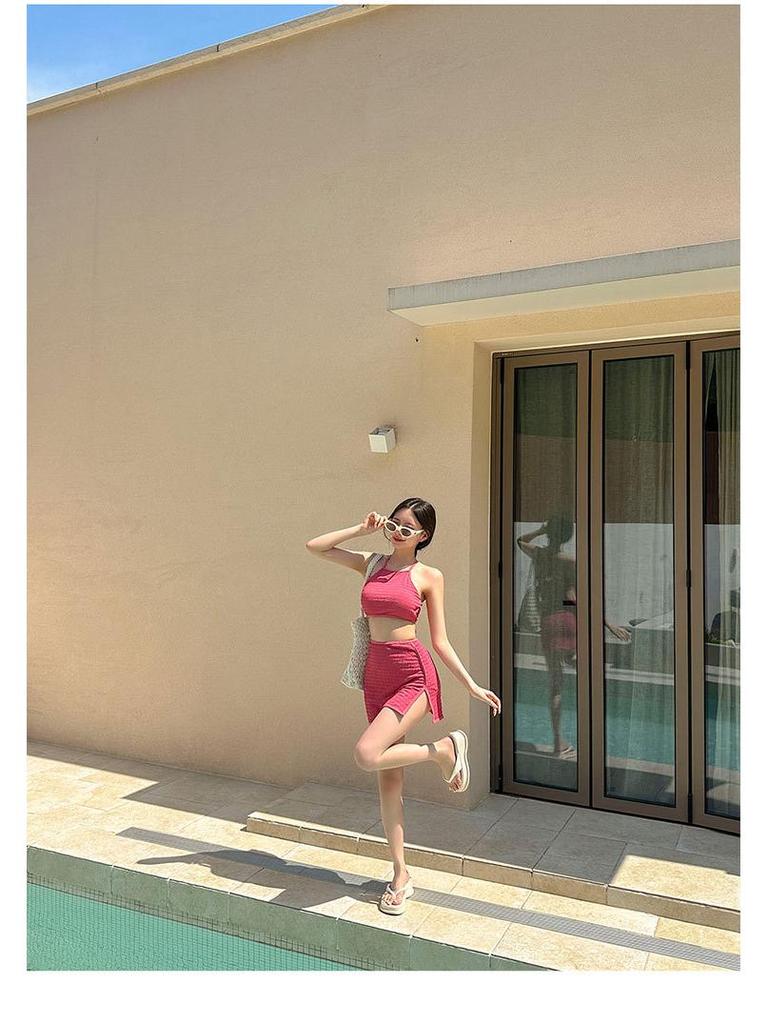 Women's Japanese & Korean Fashion Swimsuit: Simple, Sexy Skirt Style, Small Bust Enhancement, Conservative Beachwear.