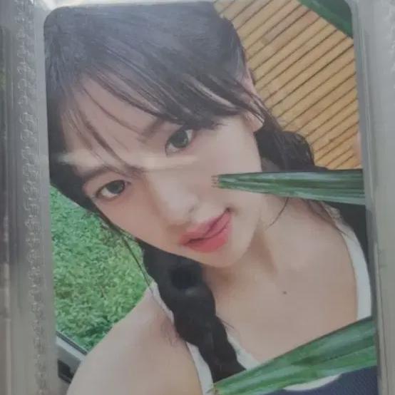 Ive An Yu-jin Photocard