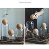 Cork Stopper Glass Jar for Coffee, Dried Fruit, and Grains Storage