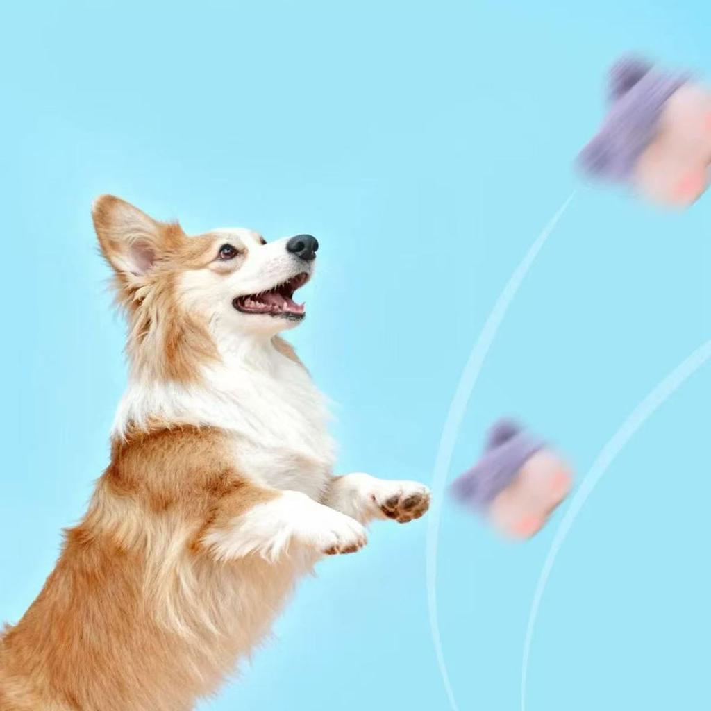 Hundespielzeug: Moowa Pippipoo Ball - Knisterpapier Rolly-Poly Spielzeugball - Rollender Geräusch-Zähneputzball - Cartoon Haustierprodukte