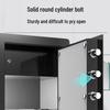 Tiger Brand Boya Series Biometric Security Safe