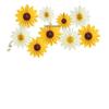Paper Fan Flower Decoration for Weddings & Birthday Parties - Hanging Party Background Decor
