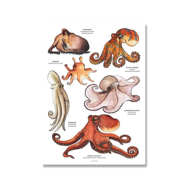 Scandinavian Simple Wall Art Rays Octopus Whale Shark Marine Animal HD Canvas Poster Print Home Bedroom Living Room Decor