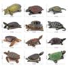 Cross-Border Amphibian Reptile Figurine - Alligator Snapping Turtle, Red-Eared Slider, Musk Turtle, Chinese Softshell Figurine Toy
