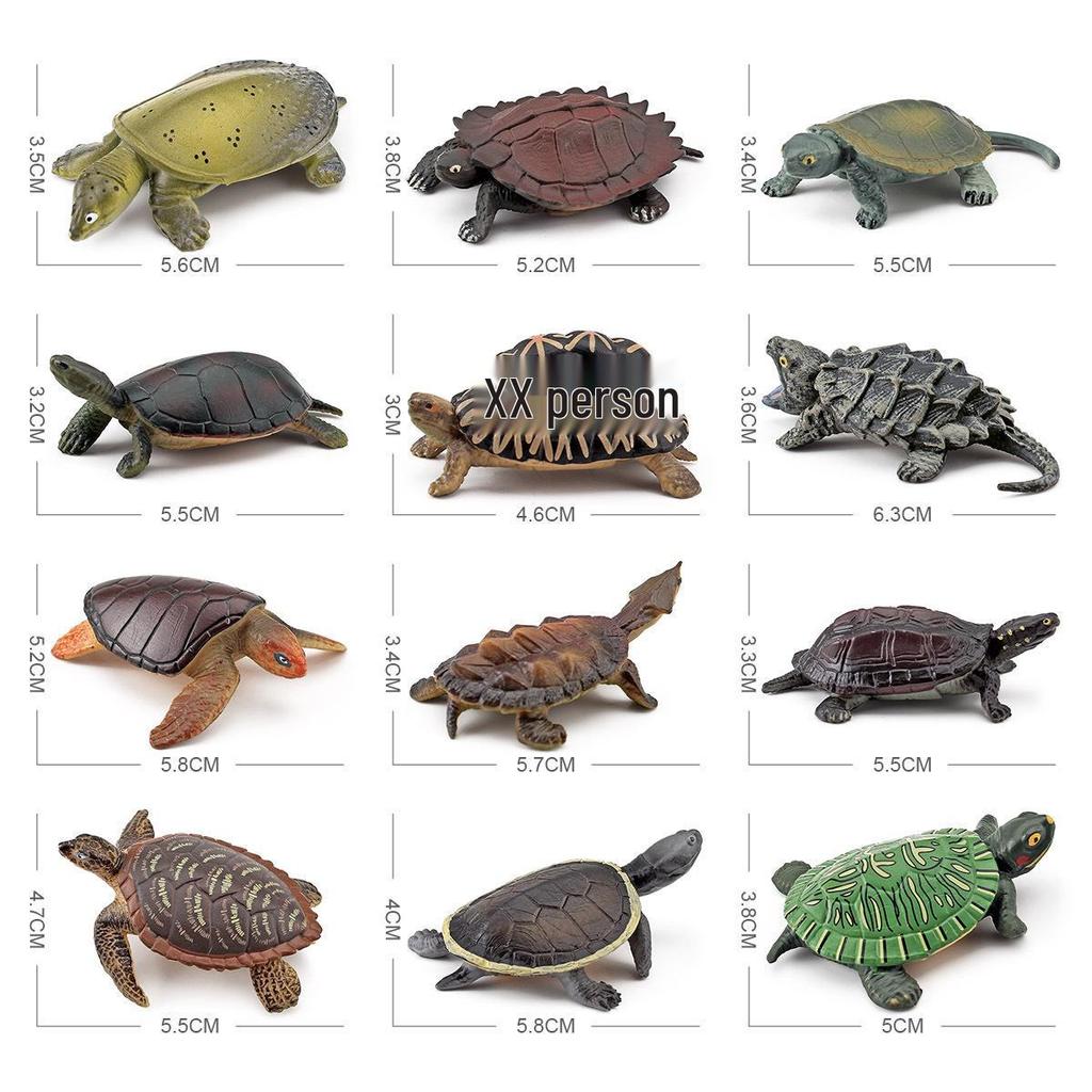 Cross-Border Amphibian Reptile Figurine - Alligator Snapping Turtle, Red-Eared Slider, Musk Turtle, Chinese Softshell Figurine Toy