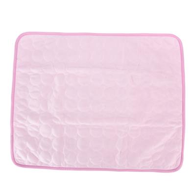 Evcil Hayvan Ürünleri – Evcil hayvan paspası