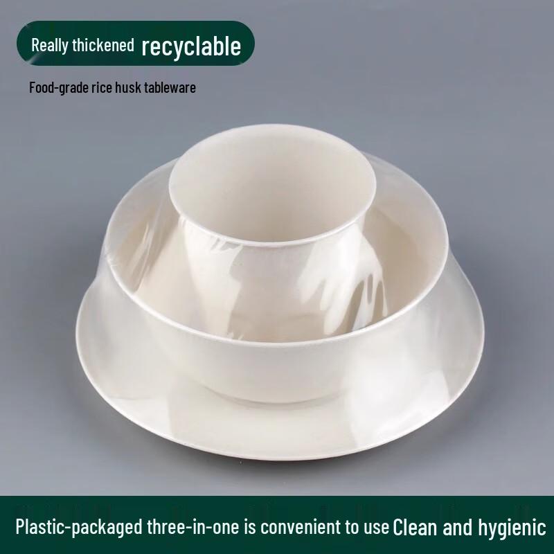 Disposable Pulp Dining Set