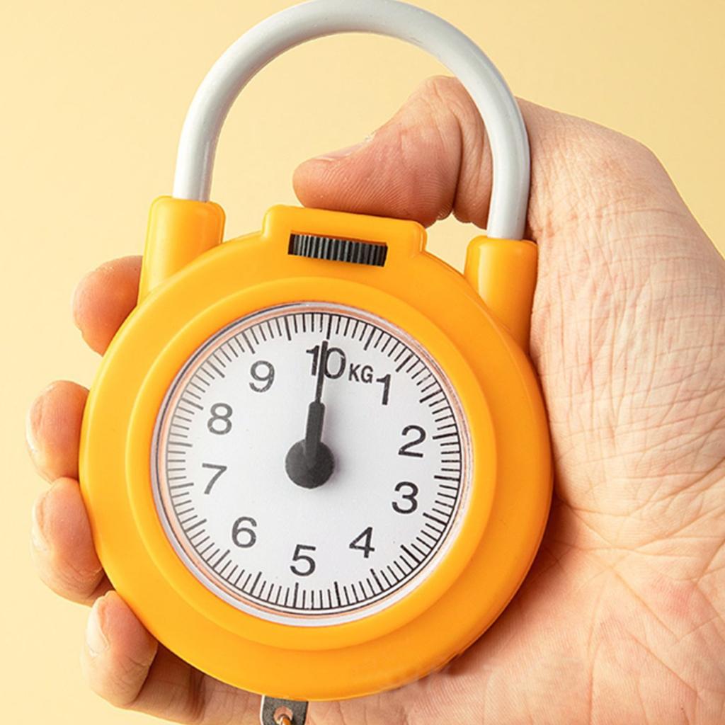 10kg Mechanical Vintage Portable Spring Balance Hook Scale For Hanging Pocket Luggages Scale Mini Weighing Scale
