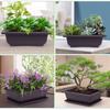 Bonsai Training Pots With Trays Rectangular Plastic Growing Pots Flowerpots Succulent Plants Pots Container Garden Decoration