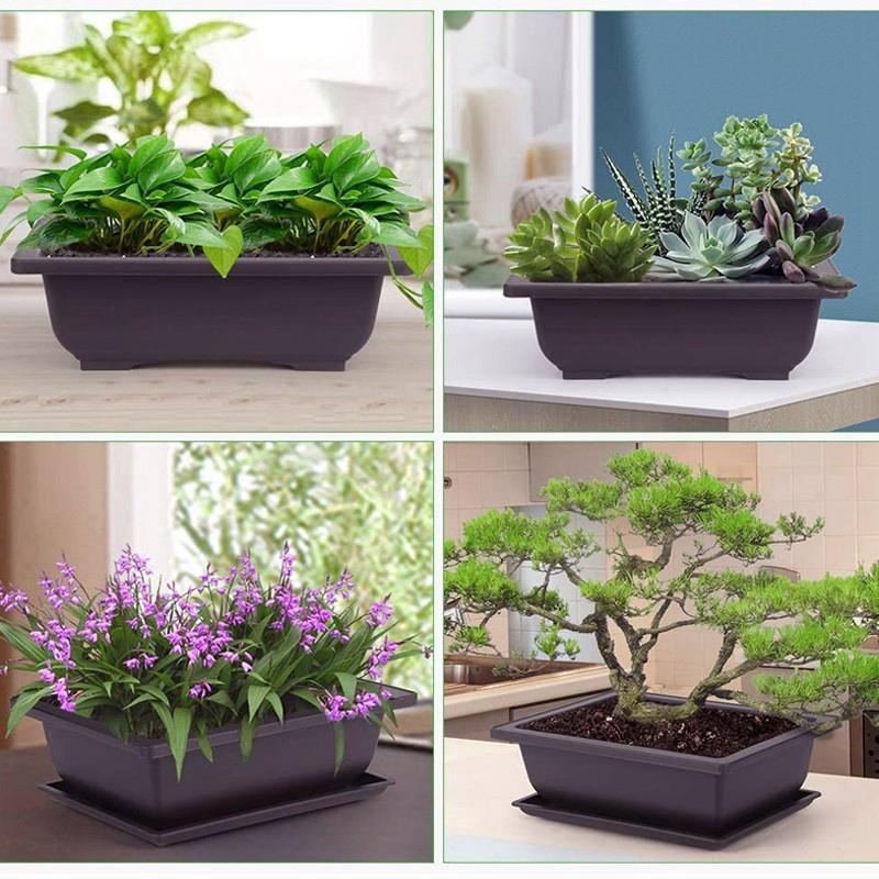 Bonsai Training Pots With Trays Rectangular Plastic Growing Pots Flowerpots Succulent Plants Pots Container Garden Decoration