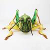 Taiyo Sangyo Boeki SA051 Wildgraphy Stuffed Grasshopper Realistic Gift