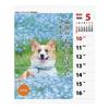 2026 Calendar Corgi Senryu (Weekly)