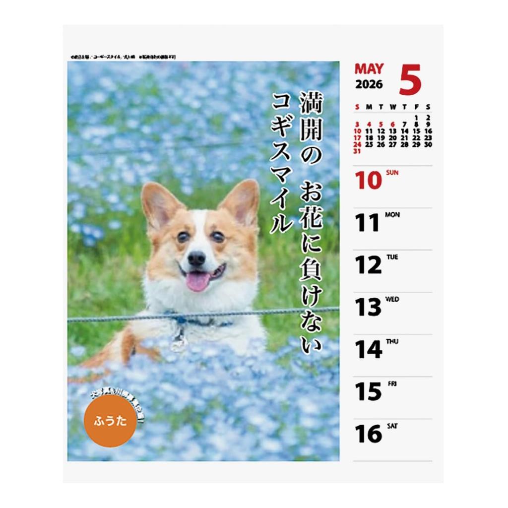 2026 Calendar Corgi Senryu (Weekly)