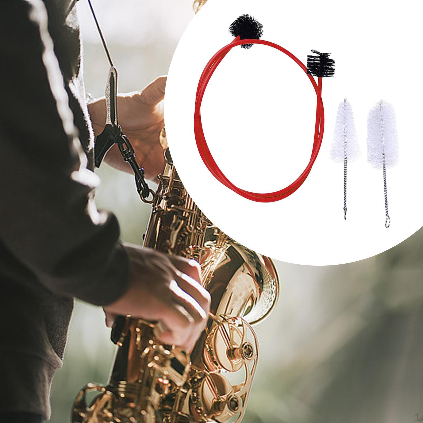 

Набор из 3 щеток для чистки мундштука Snake Brush для ухода за трубой красный