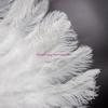Handmade Feathered Fan for Dance Performances Themed Party Celebration Hand Fan