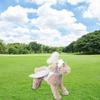 Dog 3D Wing Dress Up Costume Halloween Pet Cosplay Funny Angeles Pet Costume