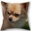 New Custom Pomeranian Dog Pillowcase Cotton Linen Fabric Square Zipper Pillowcase 45X45Cm Wedding Decorative Pillow Cover