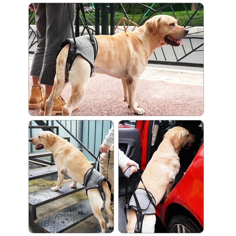 Convenient Dog Sling for Medium Large Dogs Back Support Dog Lift Harness for Injured Elderly Dogs Disabled Pet Supplies