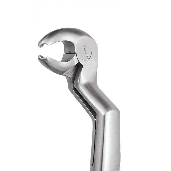 GDC Extraction Forceps Special Wisdom Routrier