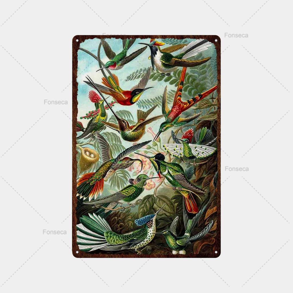 Ryby, ryby, květiny Odrůda Cedule Plechový cedule Vintage plechová cedule Bar Vintage Wall Decor Bar Club Man Cave Kovový plakát