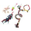 6pcs Small Bird Swing Toys Safe Multifunctional Parrots Chewing Hanging Toys for Parakeets Cockatiel Conure