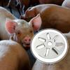 Animale de fermă
 – Produse pentru îngrijire animale