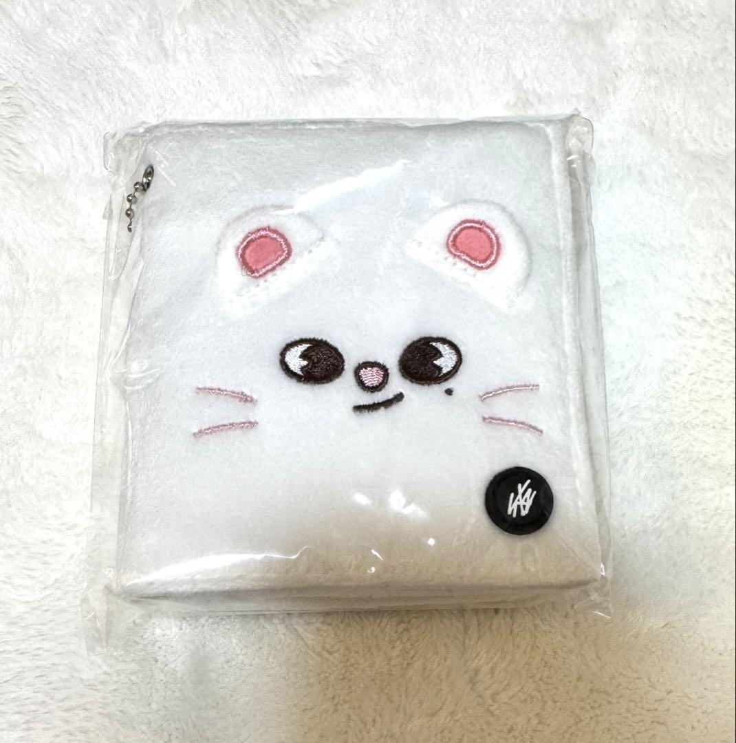 

[USED] straykids pop-up photo card case, Genielet, Hyunjin