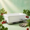 Rectangle Self Watering Planter Long and Narrow SelfWatering Wide Rim Flower Pot