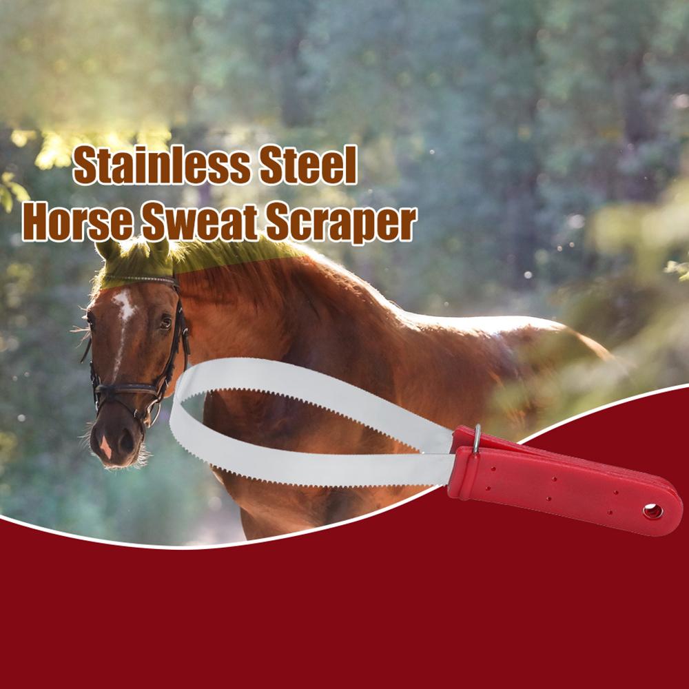 Stainless Steel Horse Sweat Scraper Itching Relief Grooming Shedding Tool with Teeth