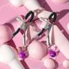 1 Pair Adult Nipple Clamps Metal Milk Clip Breast Clitoris Massage Sex Toy for Couples Novelty Lover Game Female Sex Toys