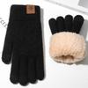 Winter Gloves Double-layer Thickened Velvet Knitted Wool To Keep Warm and Cold-proof Korean Version Cycling Men's Simple Gloves Windproof