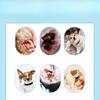 Pet Hair Plucking Powder 26g, Dog Ear Hair Plucking Powder Ear Cleaning, Cat Ear Canal Care