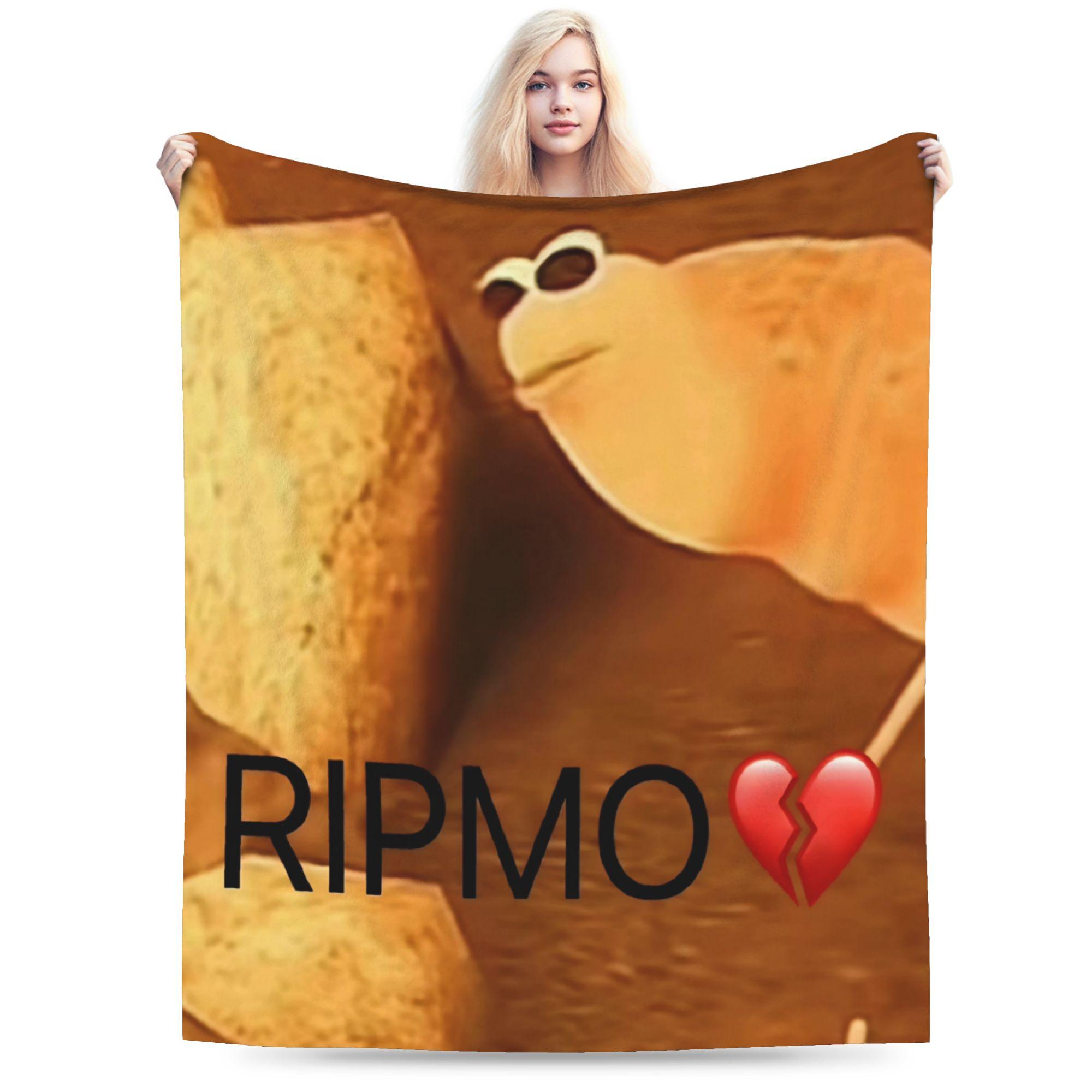 

Marcus The Worm Meme Plush Blanket Love Robert Novelty Throw Blankets for Bed Sofa Couch 200x150cm Quilt 130x150cm