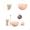 5 Pieces Japanese Matcha Set Bamboo Whisk Chawan Gifts Starter Kit Ceramic