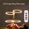 LED Plant Grow Light 5 Dimmable Modes Dual Head Timing USB Plant Lamp for Succulents Potted Plants