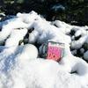 2026 New Product Needoh Snow Ball Crunch Snow Ball Crunch Stress Relief Toy