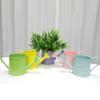 Vintage Iron Watering Can Planter Convenient Metal Container Perfect As a Flower Pots or Office Decoration