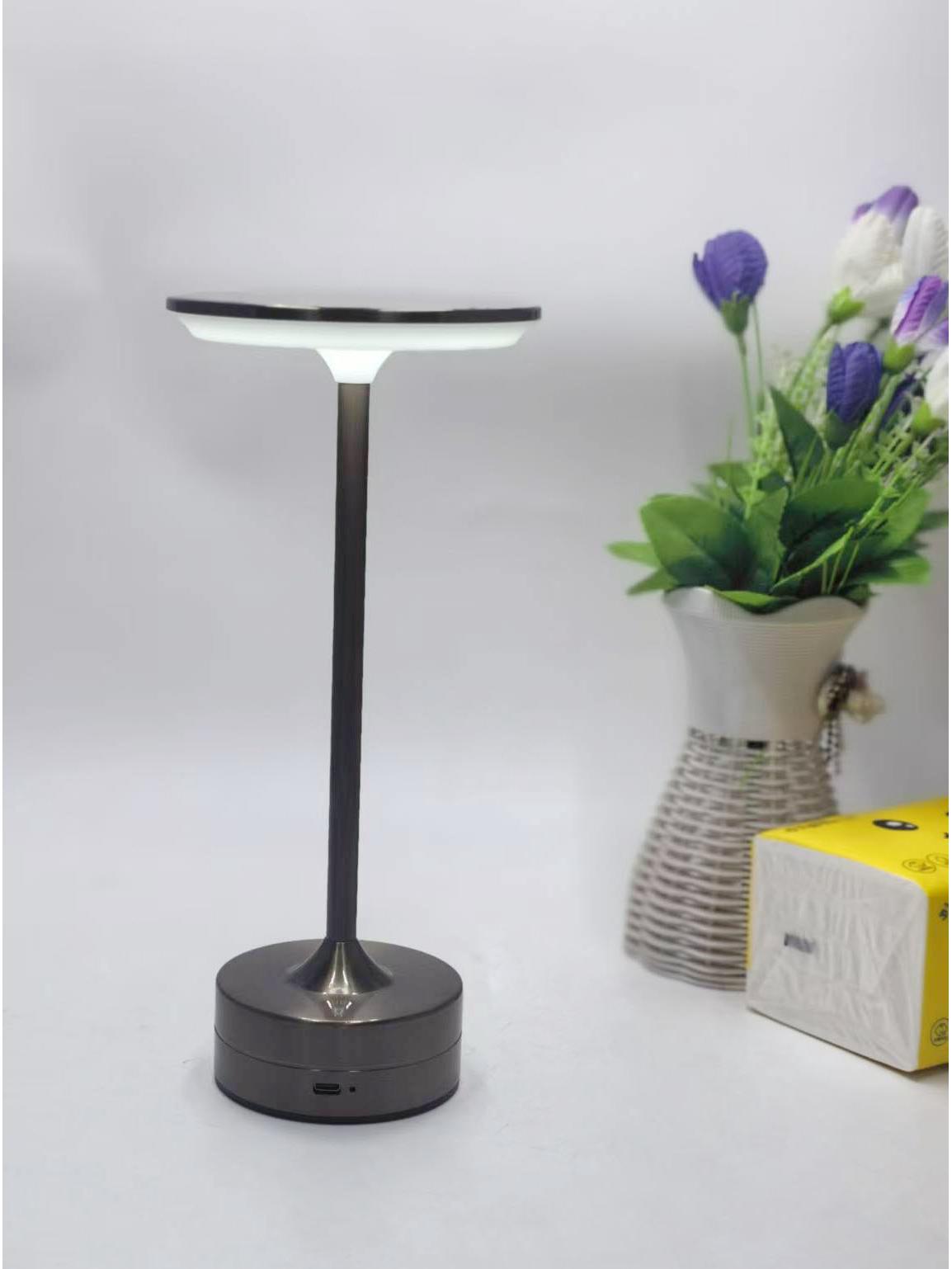 

Rechargeable LED Touch Table Lamp: Modern Decorative Metal Atmosphere