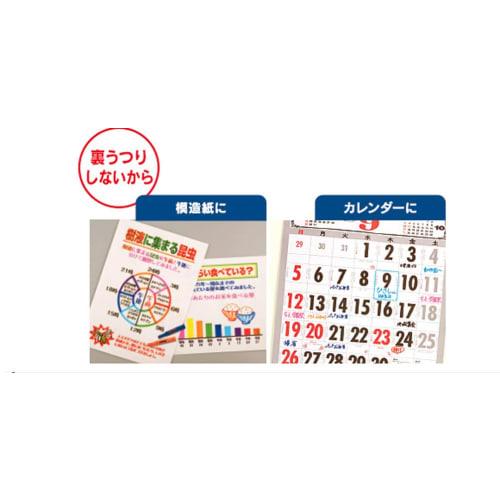 Mitsubishi Pencil Water-based Signature Pen Procky Twin Fine + Bold Black PM150TR.24 10 pieces