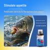 Peixes e animais aquáticos – Decoração de aquário
